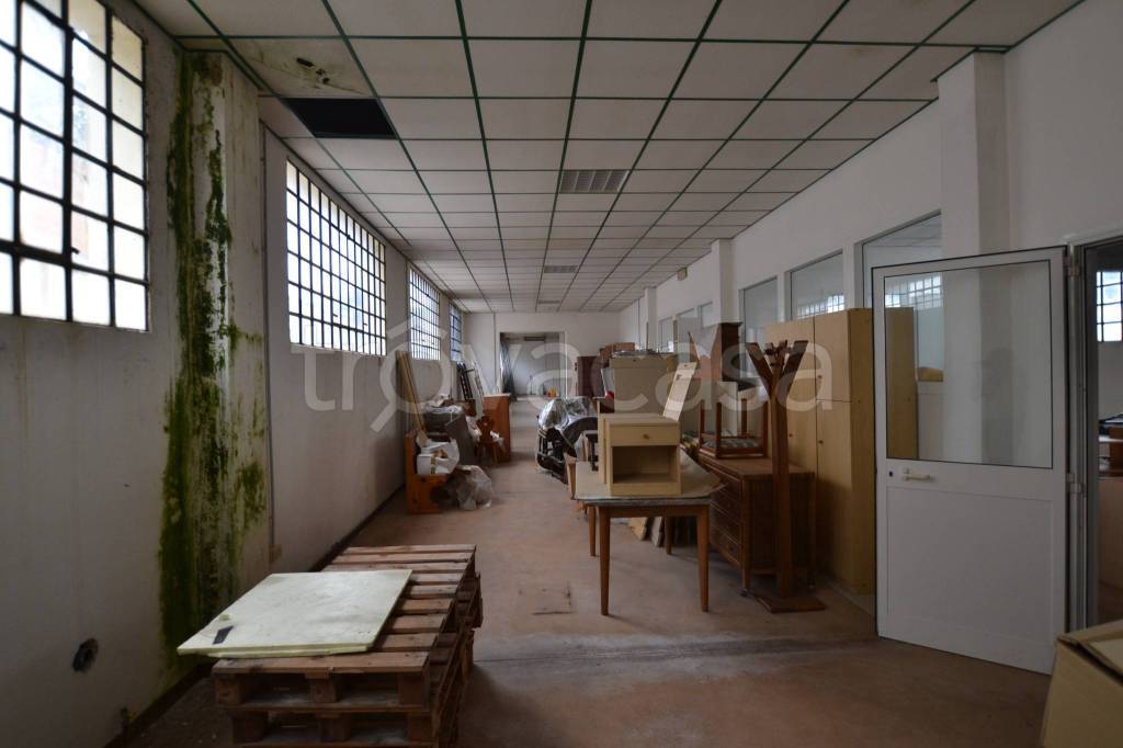 immagine annuncio 5 di 9