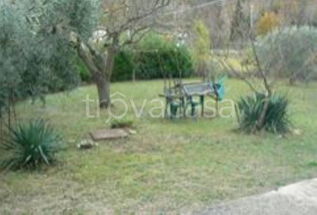 immagine annuncio 4 di 11