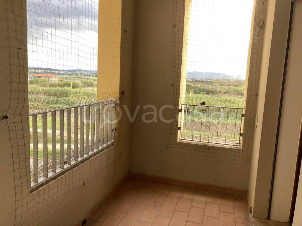 immagine annuncio 4 di 14