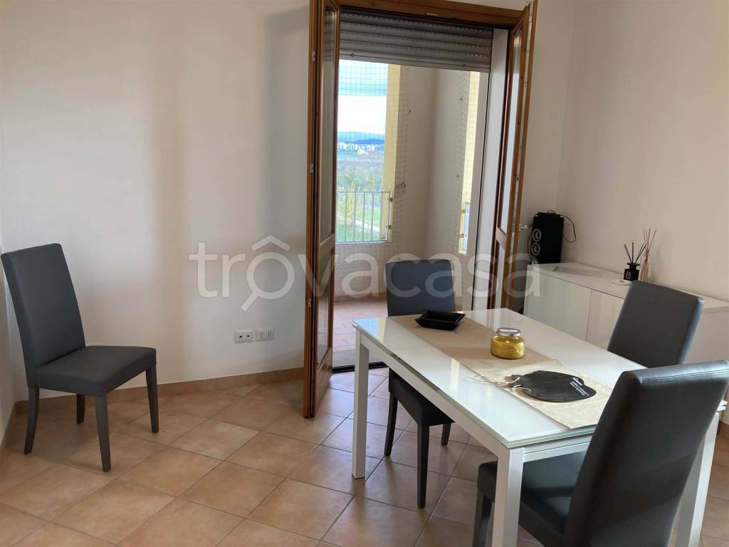 immagine annuncio 2 di 14