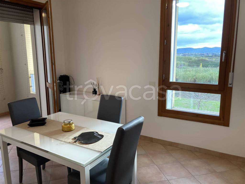 immagine annuncio 1 di 14