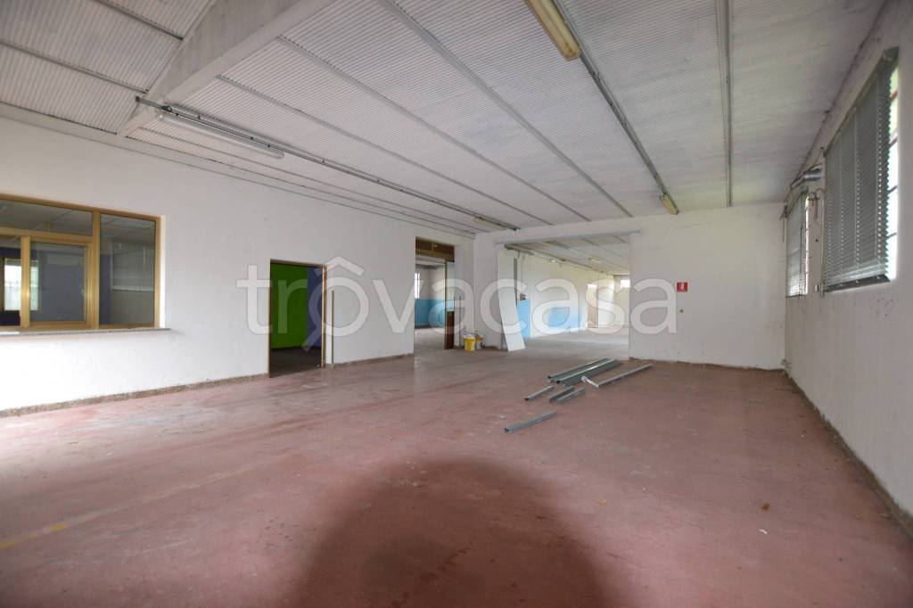 immagine annuncio 1 di 9