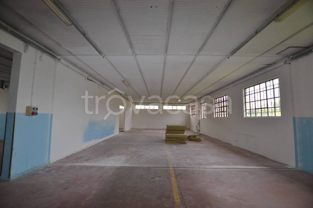 immagine annuncio 2 di 9