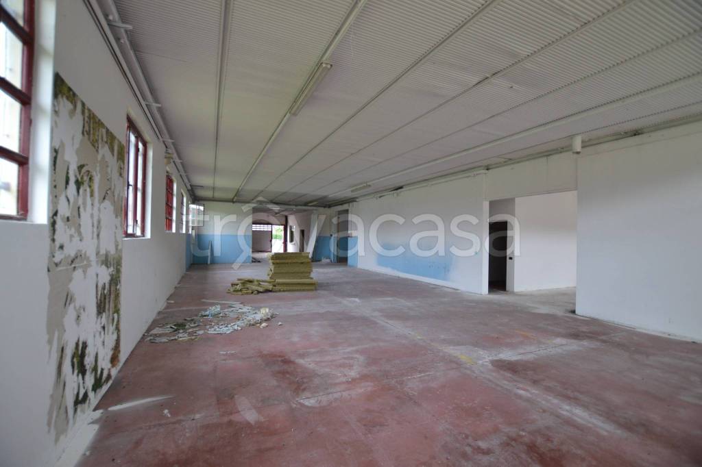 immagine annuncio 3 di 9