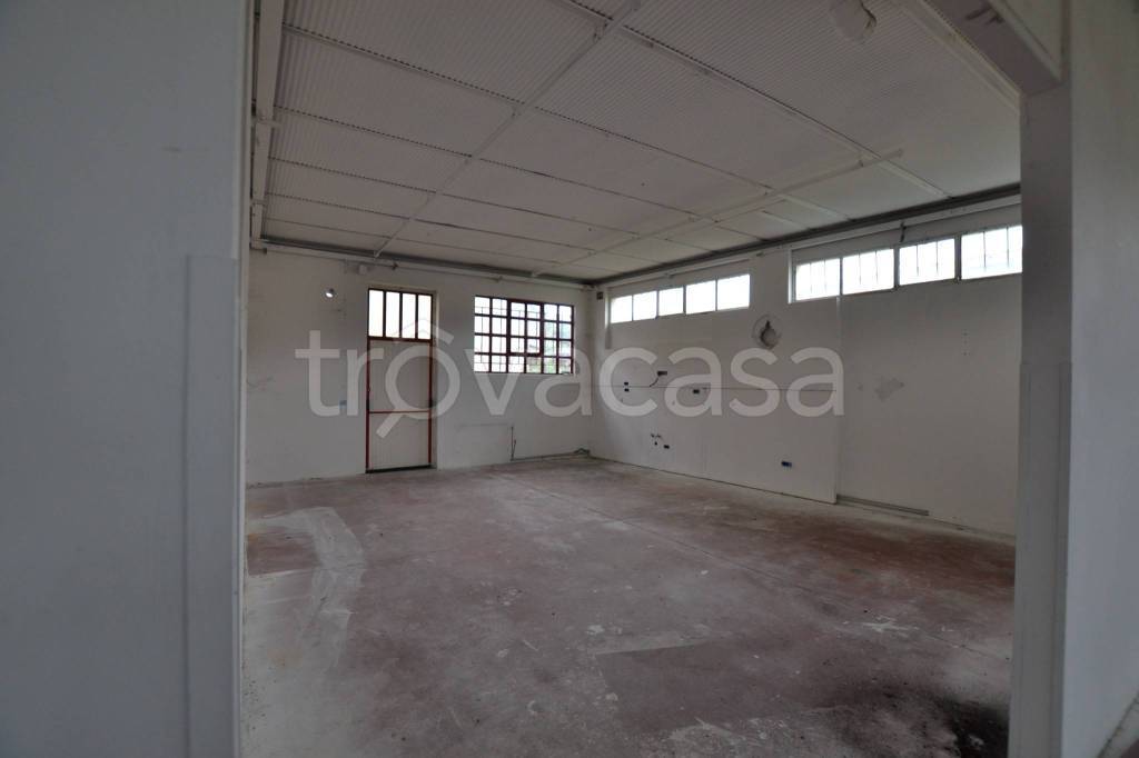 immagine annuncio 4 di 9