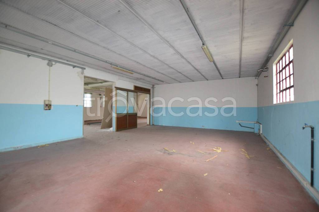 immagine annuncio 7 di 9