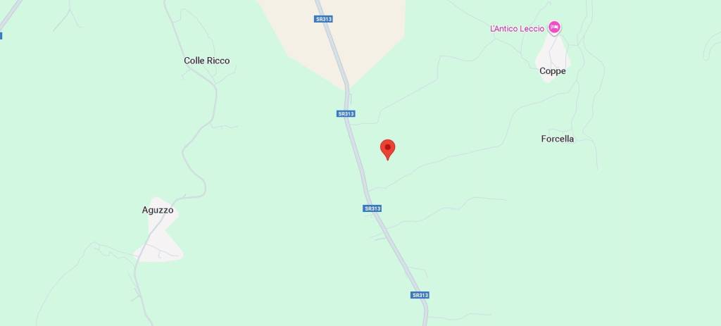 immagine annuncio 9 di 13