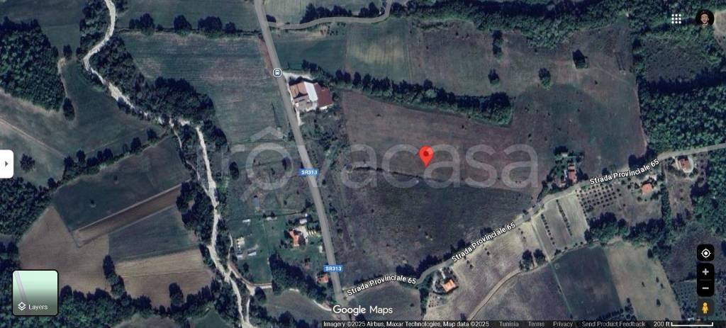 immagine annuncio 12 di 13