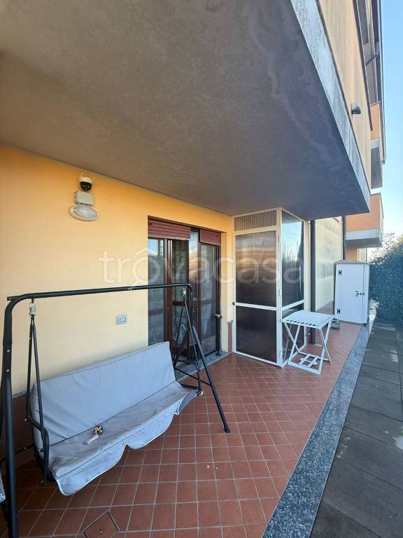 immagine annuncio 9 di 15