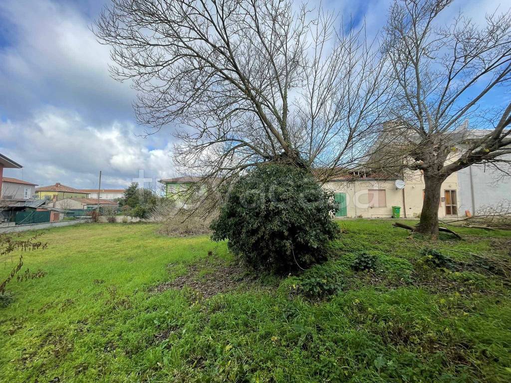 immagine annuncio 3 di 14