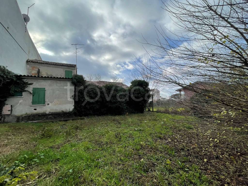 immagine annuncio 8 di 14