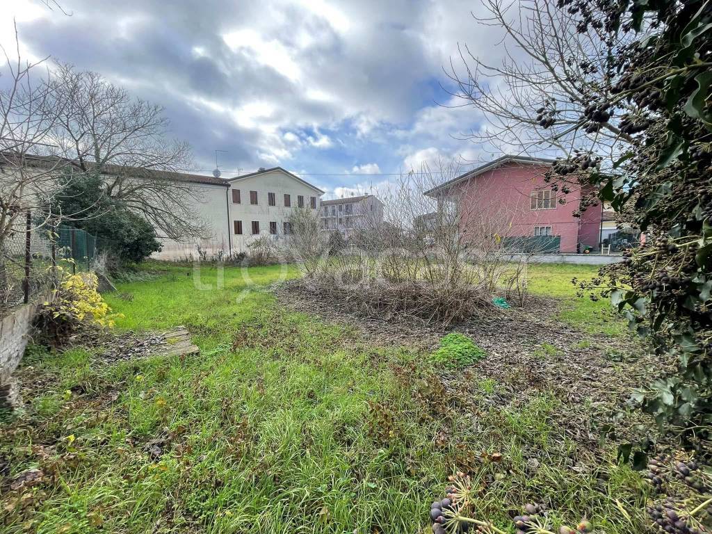 immagine annuncio 5 di 14