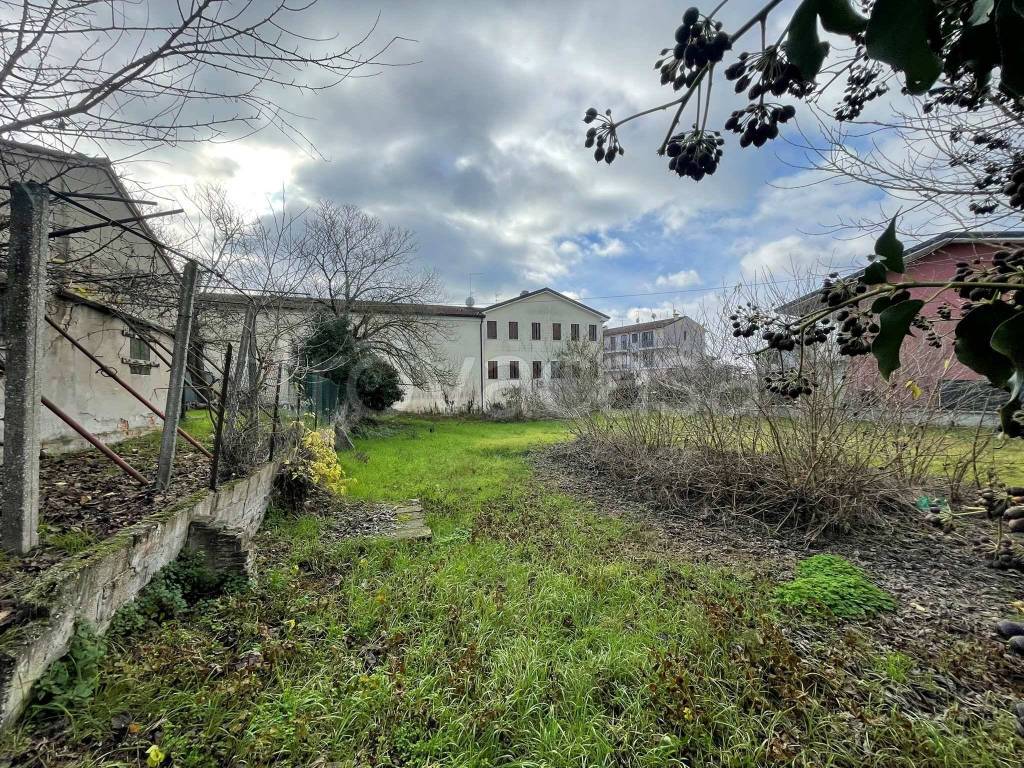 immagine annuncio 6 di 14