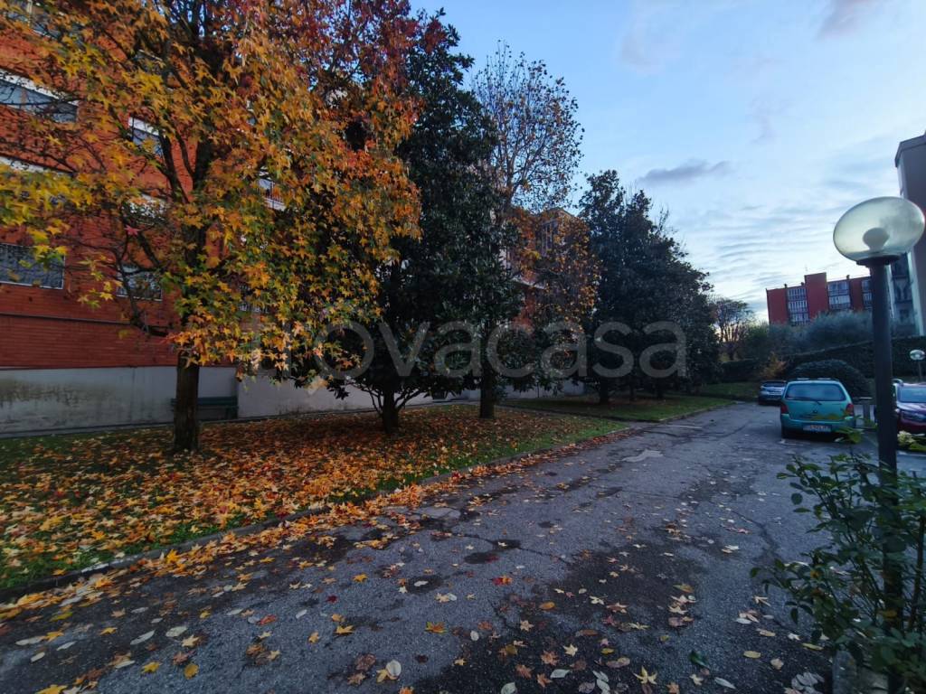 immagine annuncio 11 di 14