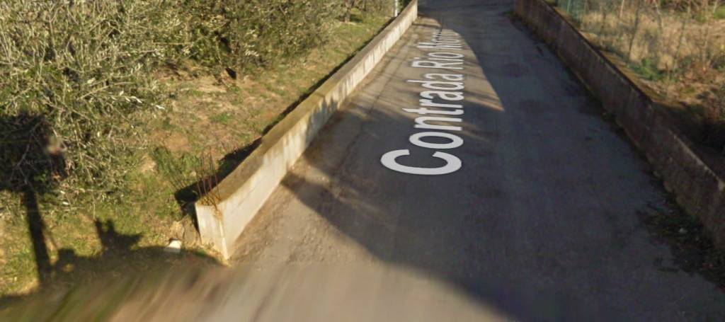 immagine annuncio 3 di 11