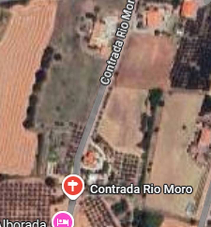 immagine annuncio 10 di 11