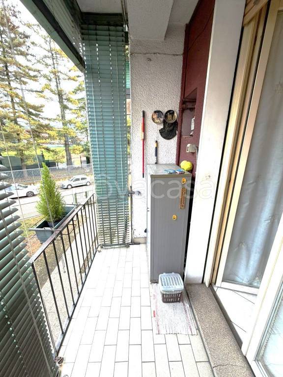 immagine annuncio 3 di 14