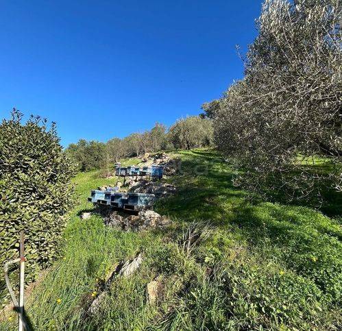 immagine annuncio 2 di 8