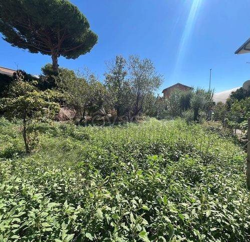 immagine annuncio 6 di 8