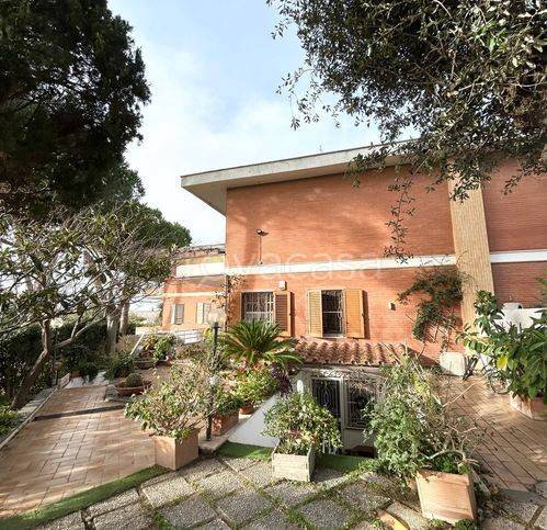 immagine annuncio 11 di 13