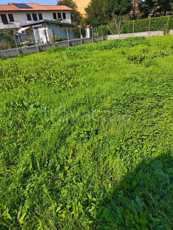 immagine annuncio 1 di 7