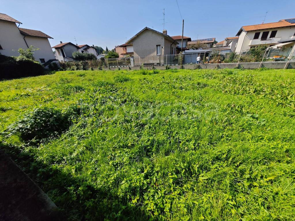 immagine annuncio 2 di 7