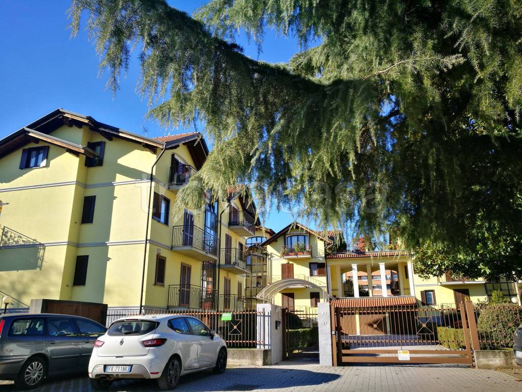 immagine annuncio 8 di 12