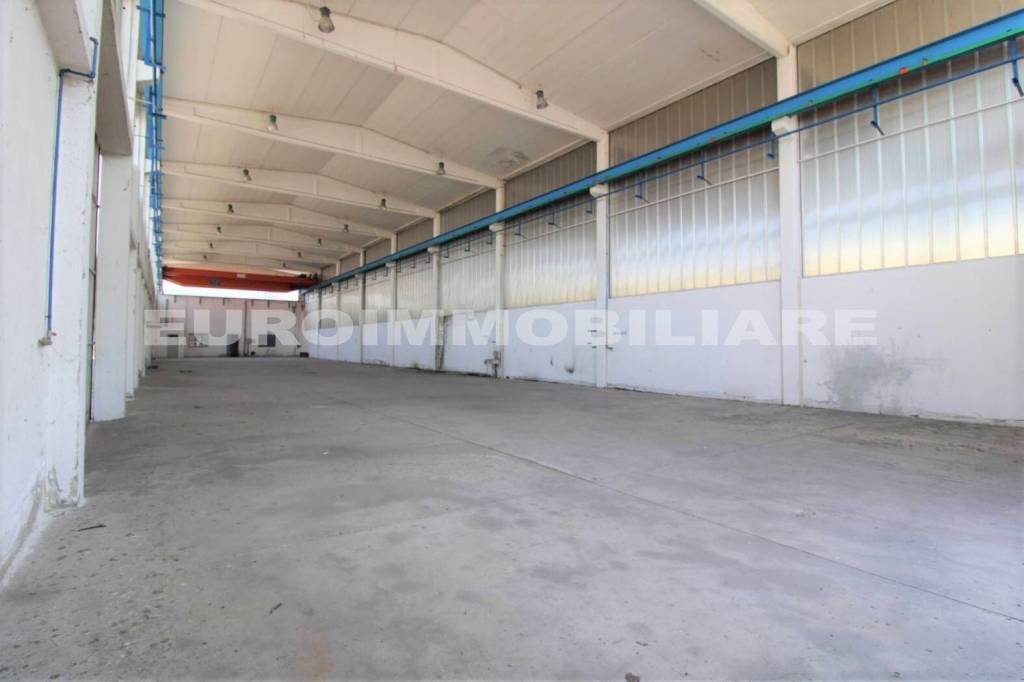 immagine annuncio 5 di 9