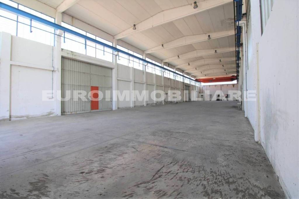 immagine annuncio 6 di 9