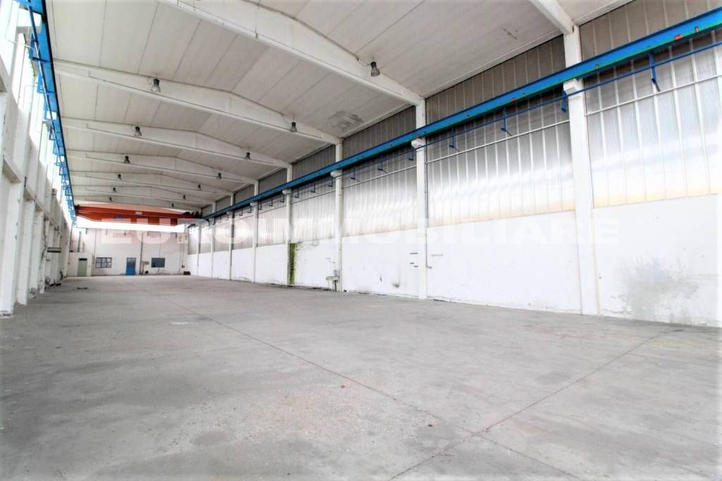 immagine annuncio 7 di 9