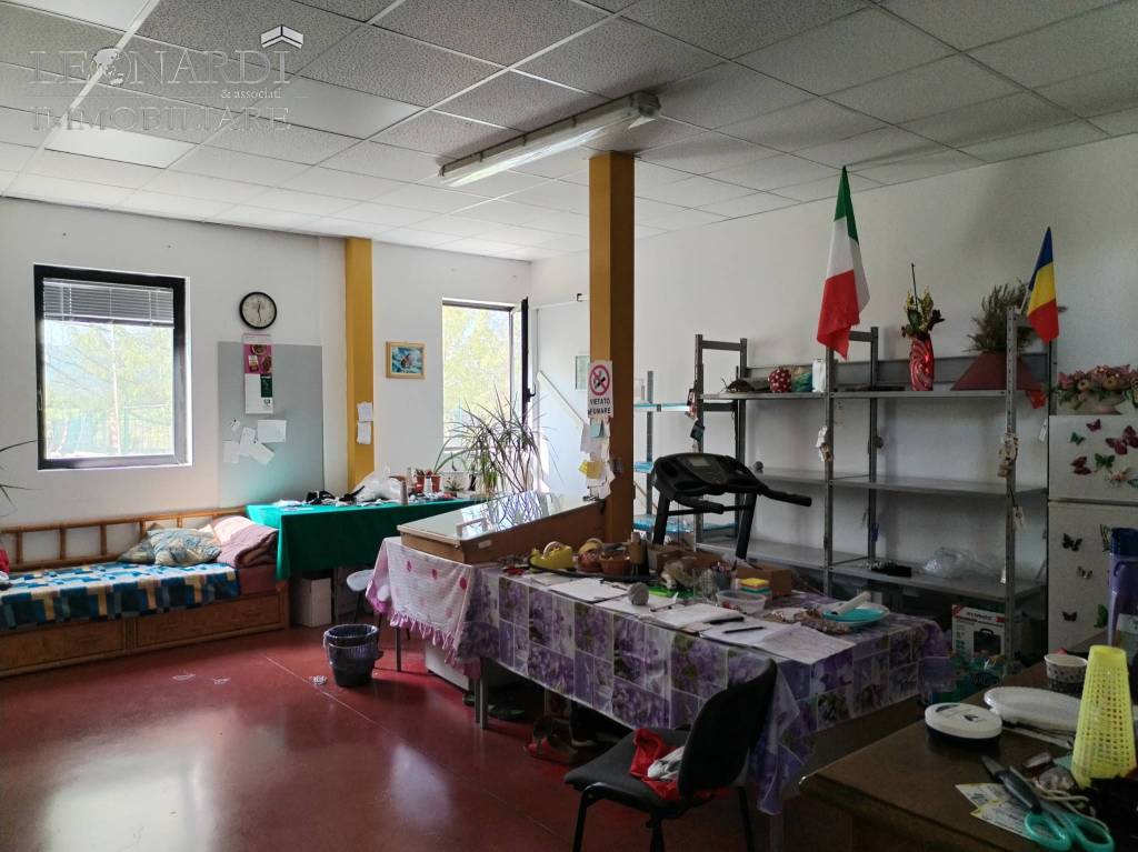 immagine annuncio 9 di 15