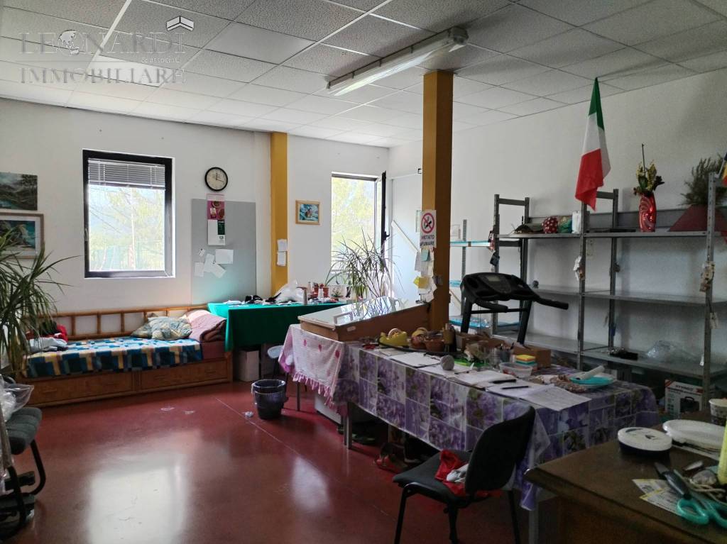 immagine annuncio 12 di 15