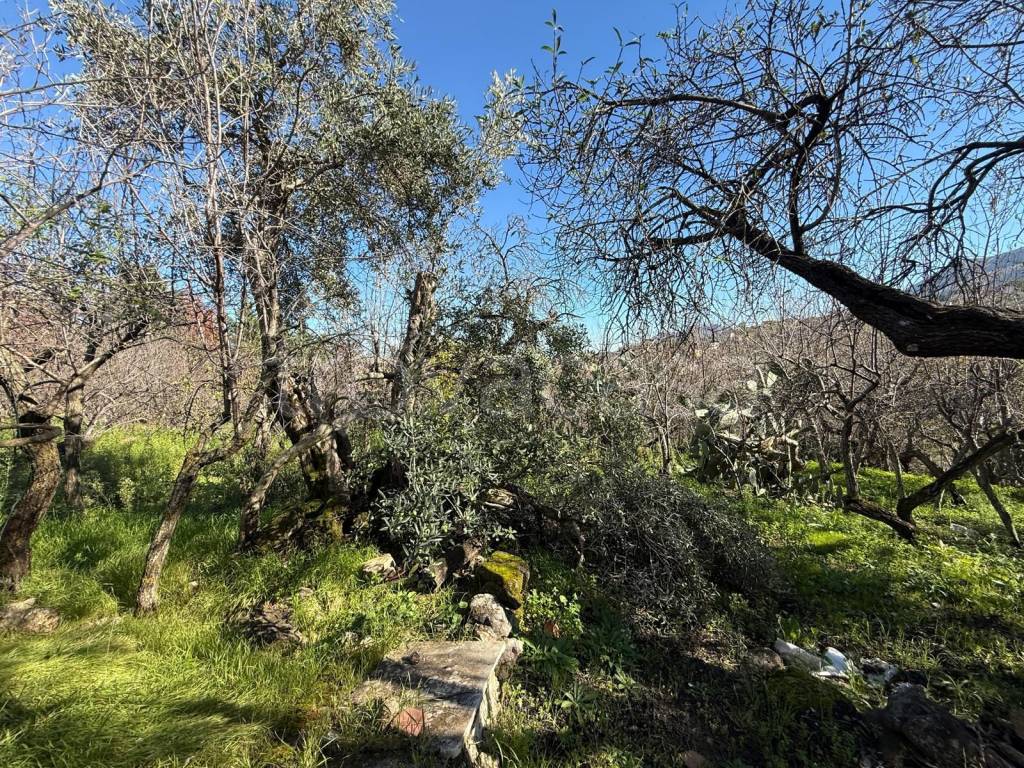 immagine annuncio 8 di 14