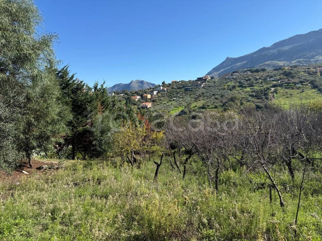 immagine annuncio 10 di 14