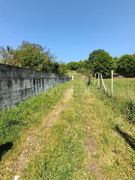 immagine annuncio 2 di 9