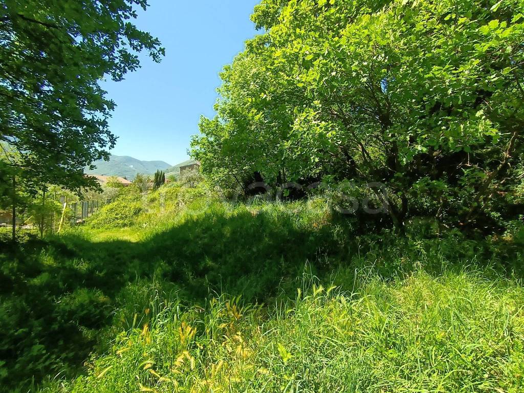 immagine annuncio 4 di 9