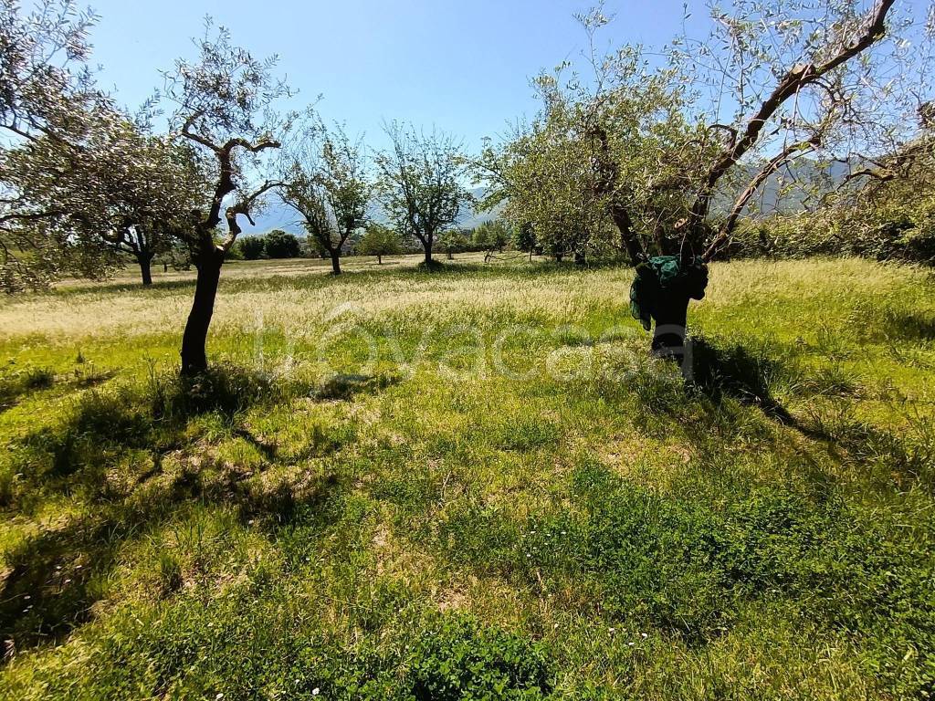 immagine annuncio 5 di 9