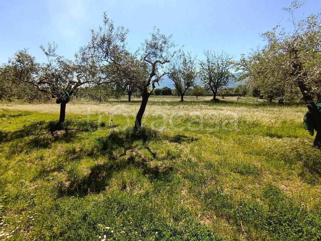 immagine annuncio 6 di 9