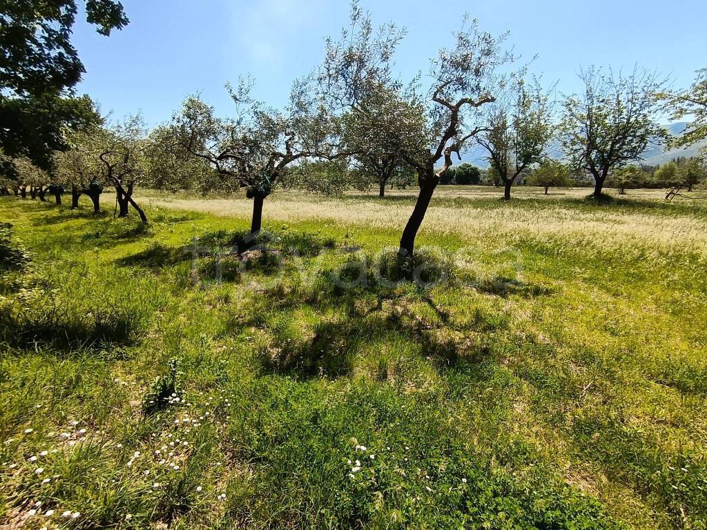 immagine annuncio 7 di 9