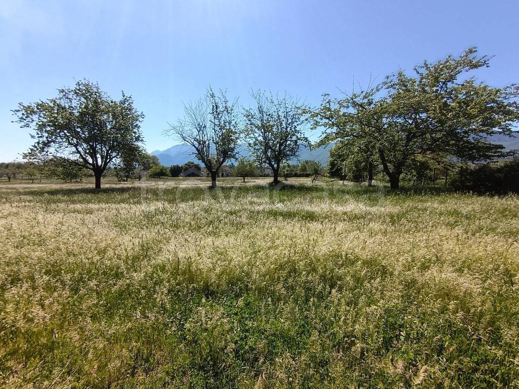 immagine annuncio 8 di 9