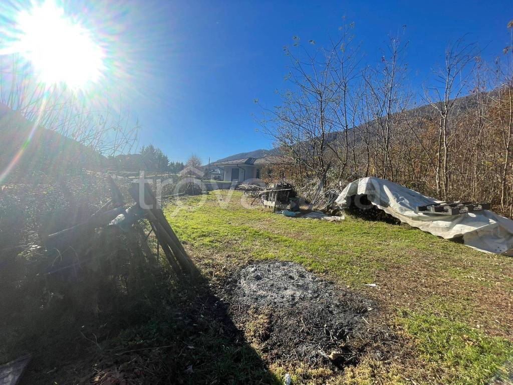 immagine annuncio 4 di 14