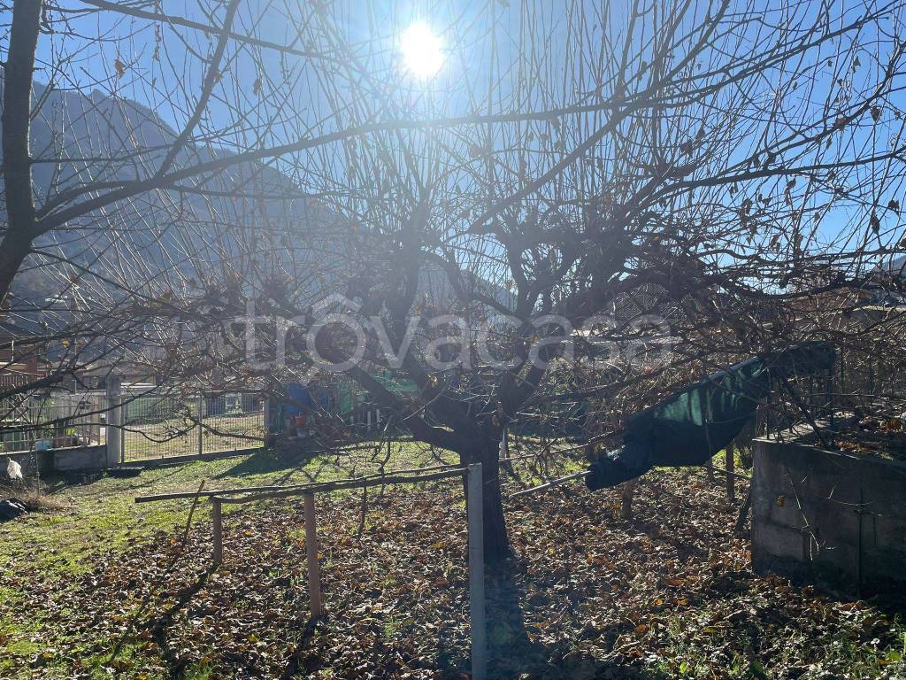 immagine annuncio 5 di 14