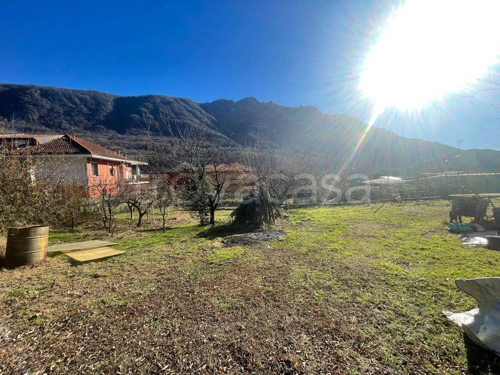 immagine annuncio 11 di 14