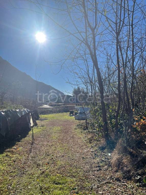 immagine annuncio 3 di 14