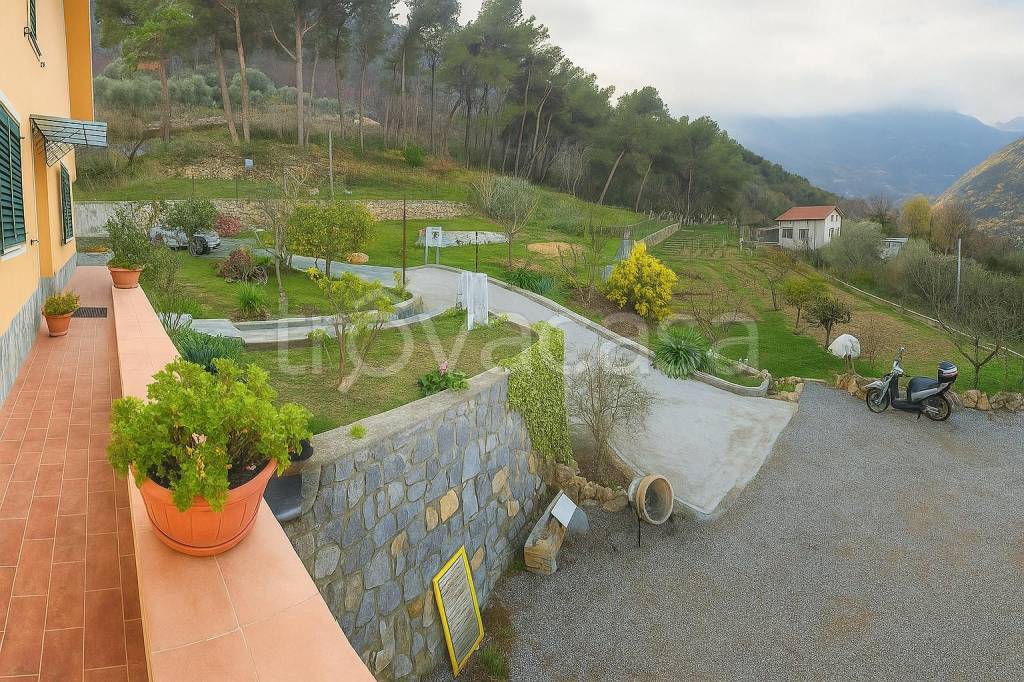 immagine annuncio 2 di 12