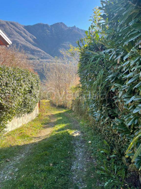 immagine annuncio 12 di 14