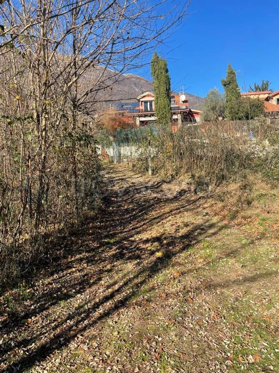 immagine annuncio 13 di 14