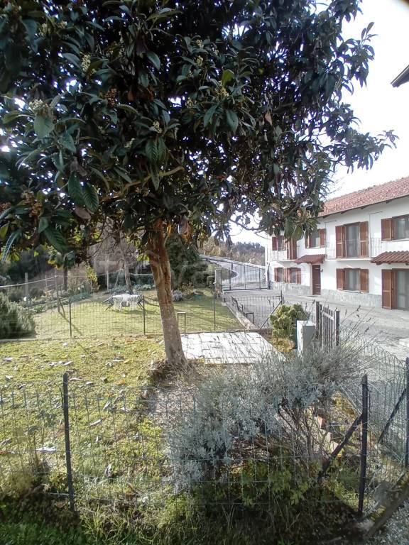 immagine annuncio 9 di 12