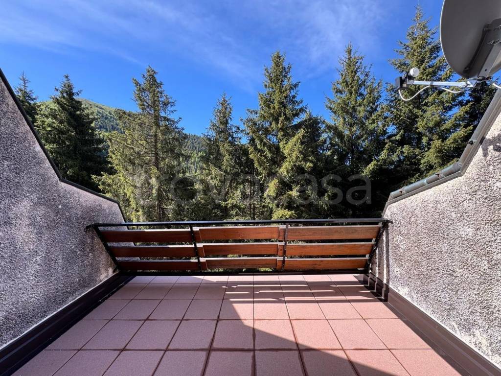 immagine annuncio 8 di 12