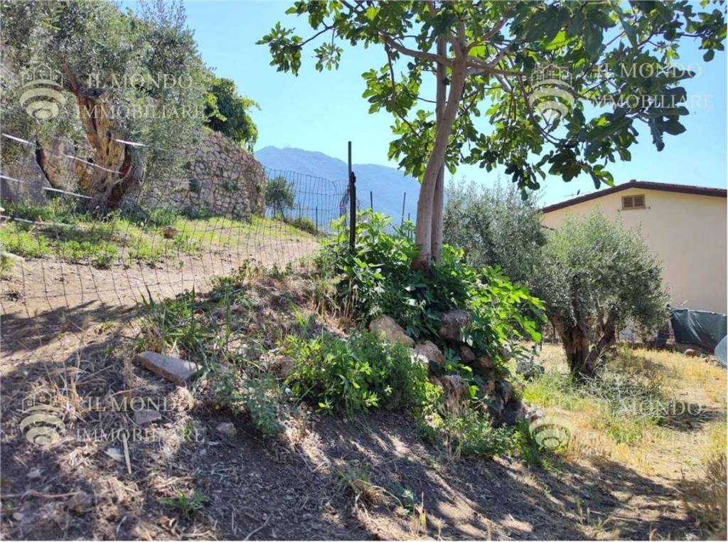 immagine annuncio 5 di 14